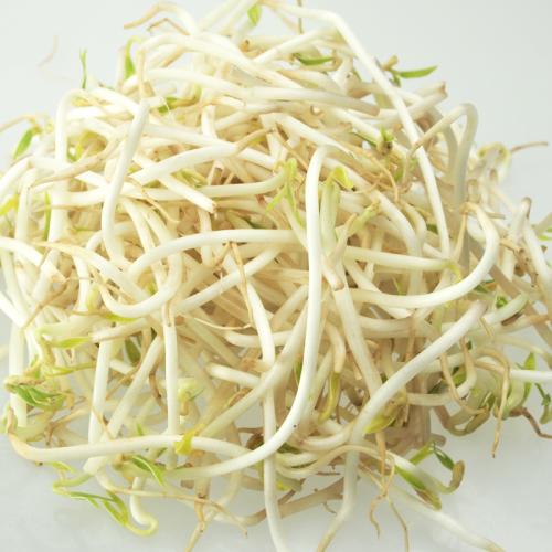 BEAN SPROUTS  綠豆芽