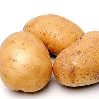 POTATO  馬鈴薯