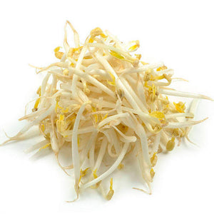 SOYBEAN SPROUTS  黃豆芽