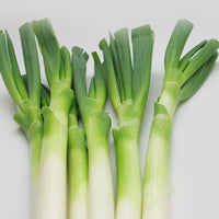 BIG GREEN ONION (LB)大蔥(磅)  BITTER MELON