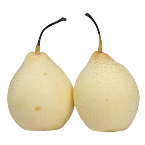 ASIAN PEAR  沙梨