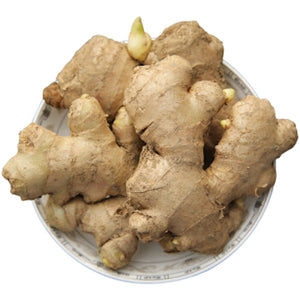 GINGER(LB)