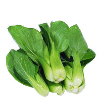 BOK CHOY  白菜苗