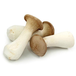 OYSTER MUSHROOM  蠔菇