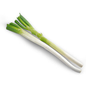 CHINESE LEEK 京葱