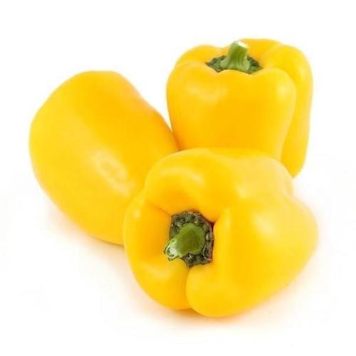 YELLOW PEPPER