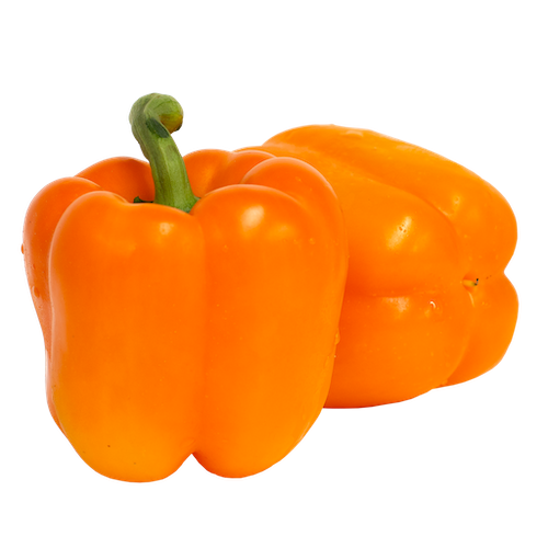 ORANGE PEPPER - L橙椒-大