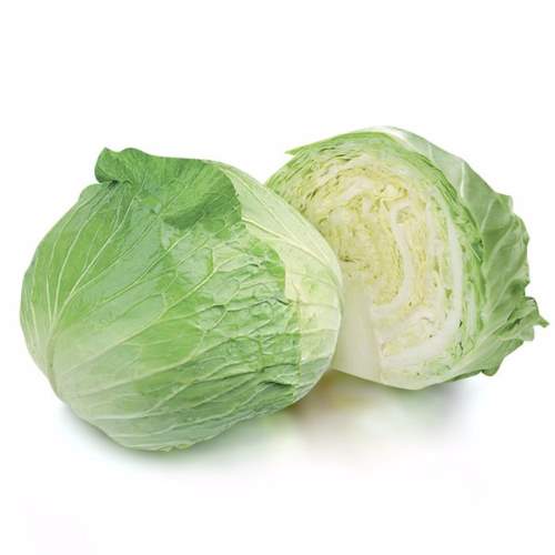 TAIWAN CABBAGE  台灣高麗菜