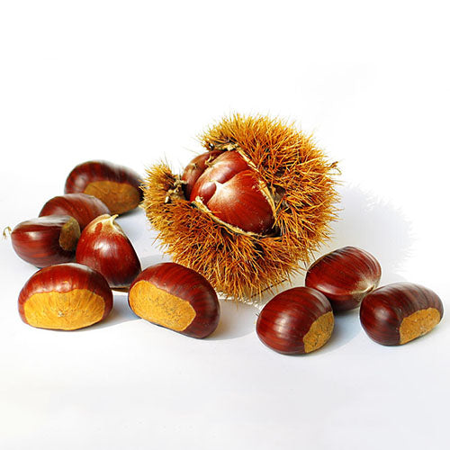 CHESTNUTS KOREAN栗子