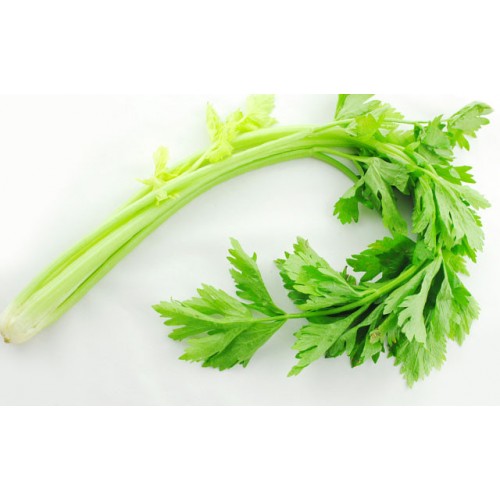 CHINESE CELERY (LB)