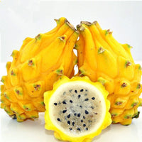 DRAGON FRUIT YELLOW（LB）麒麟果（磅）